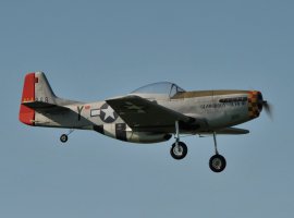 Mustang_7