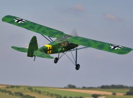 Storch_5