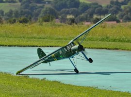 Storch_6