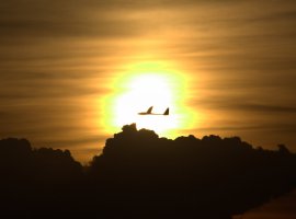 IMG_3288