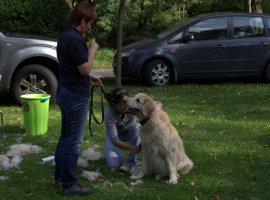 IMG_6714