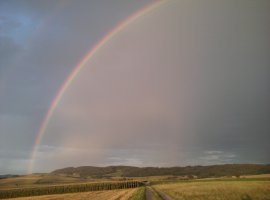 a-regenbogen1