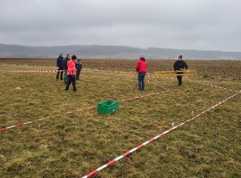 IMG_20260208_095931965_HDR